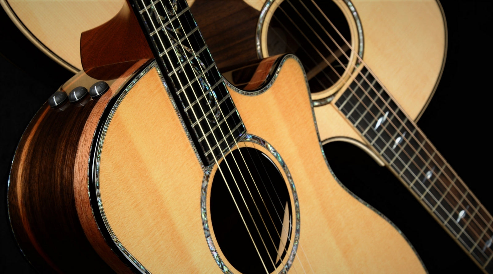 How Taylor Guitars Changed the Sustainability Game