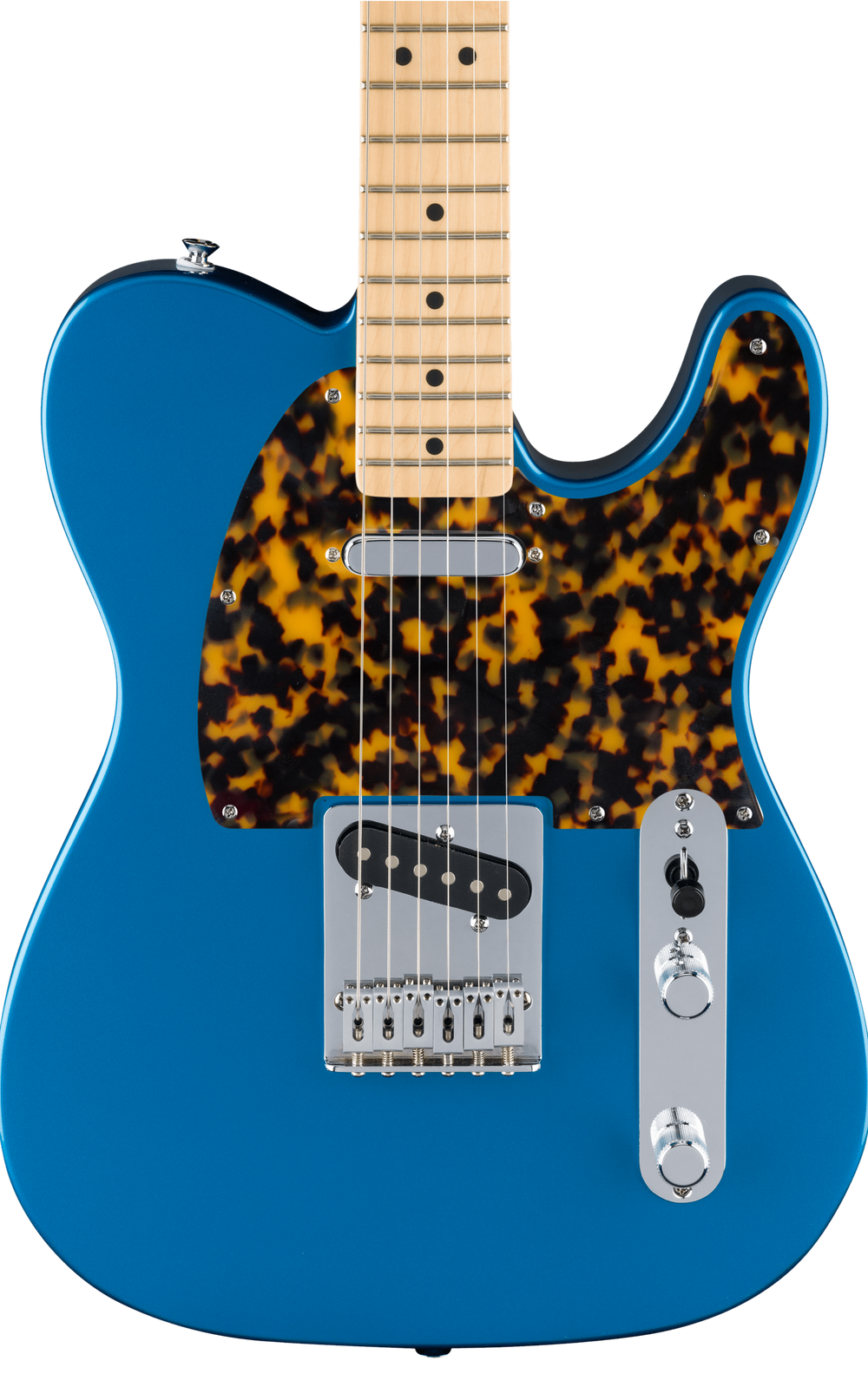 Tokyo Tortoise | Tele Pickguard