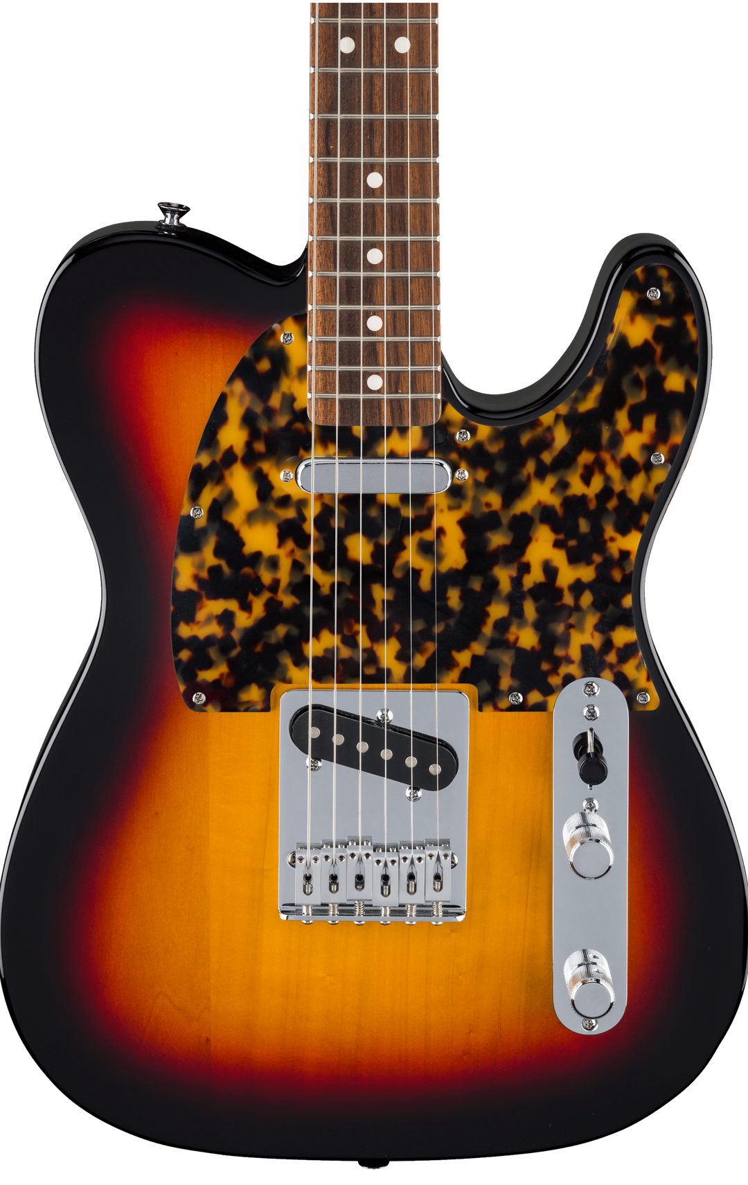 Tokyo Tortoise | Tele Pickguard