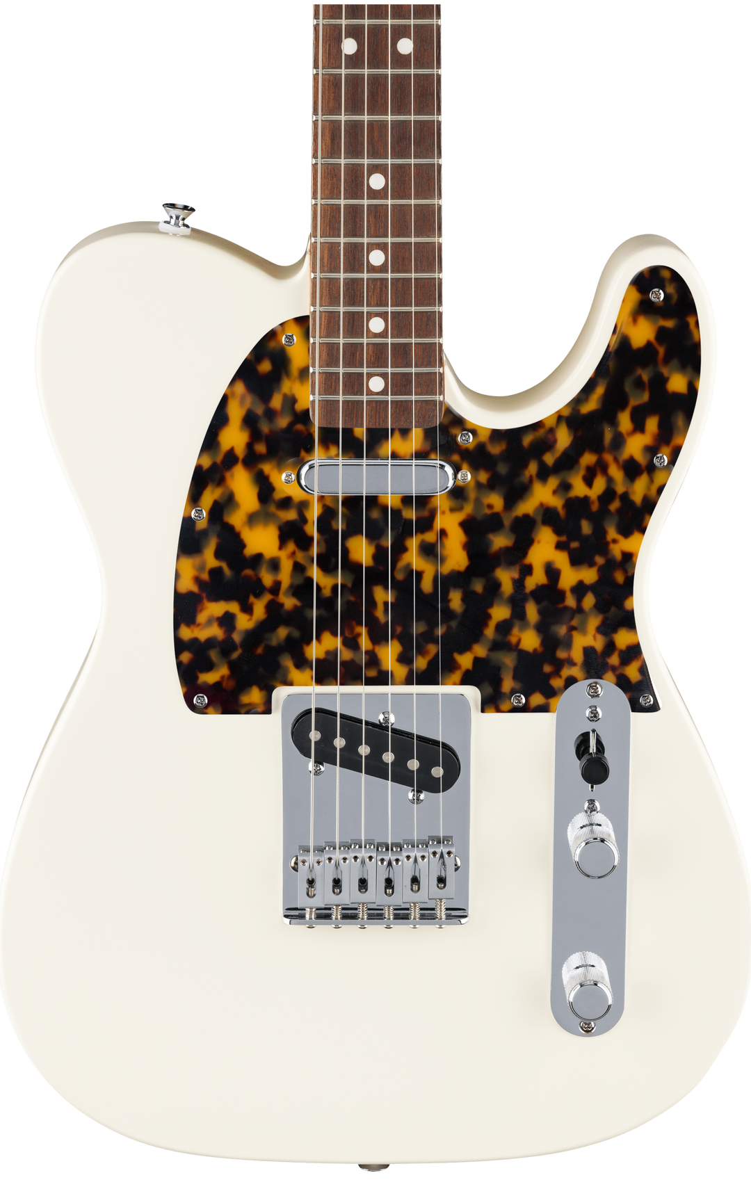 Tokyo Tortoise | Tele Pickguard