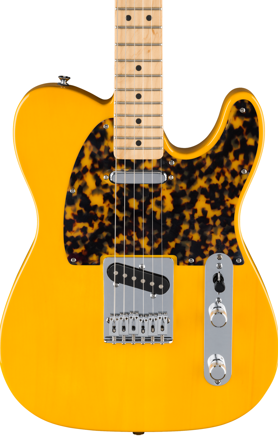 Tokyo Tortoise | Tele Pickguard