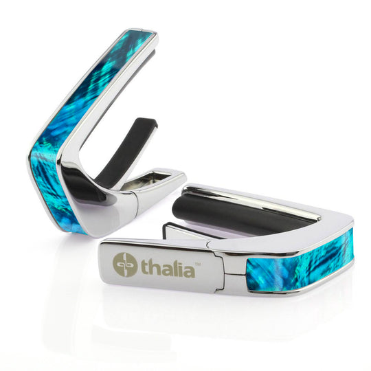 Teal Angel Wing | Capo