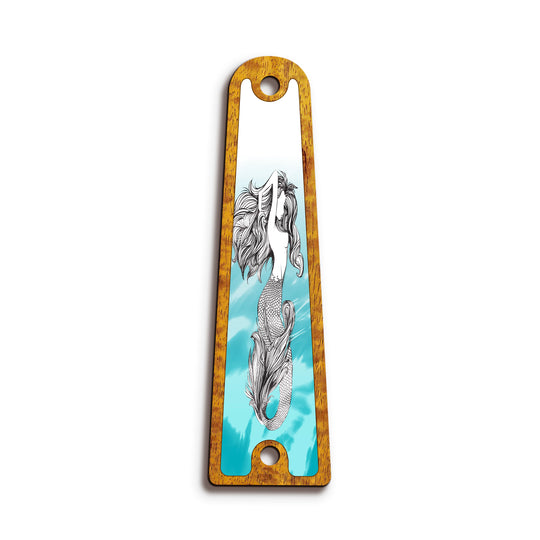 Taylor TR14 | Truss Rod Covers