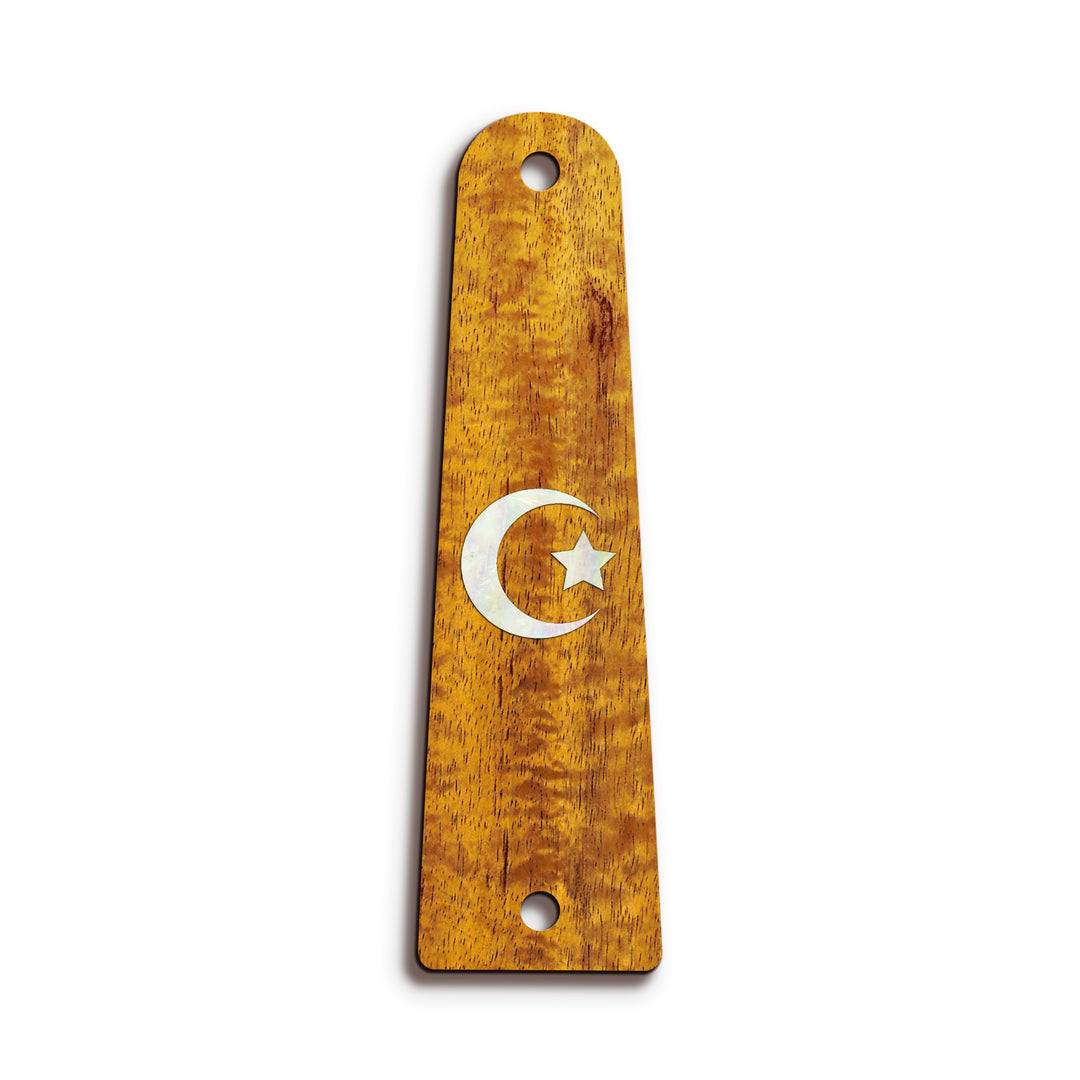 Taylor TR14 | Truss Rod Covers