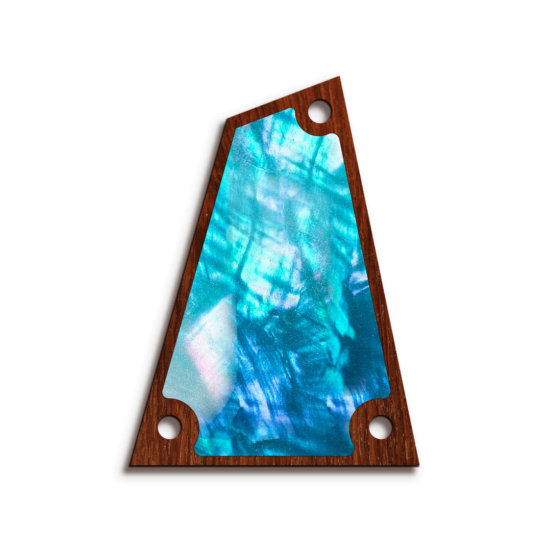 Ibanez TR24 | Truss Rod Covers