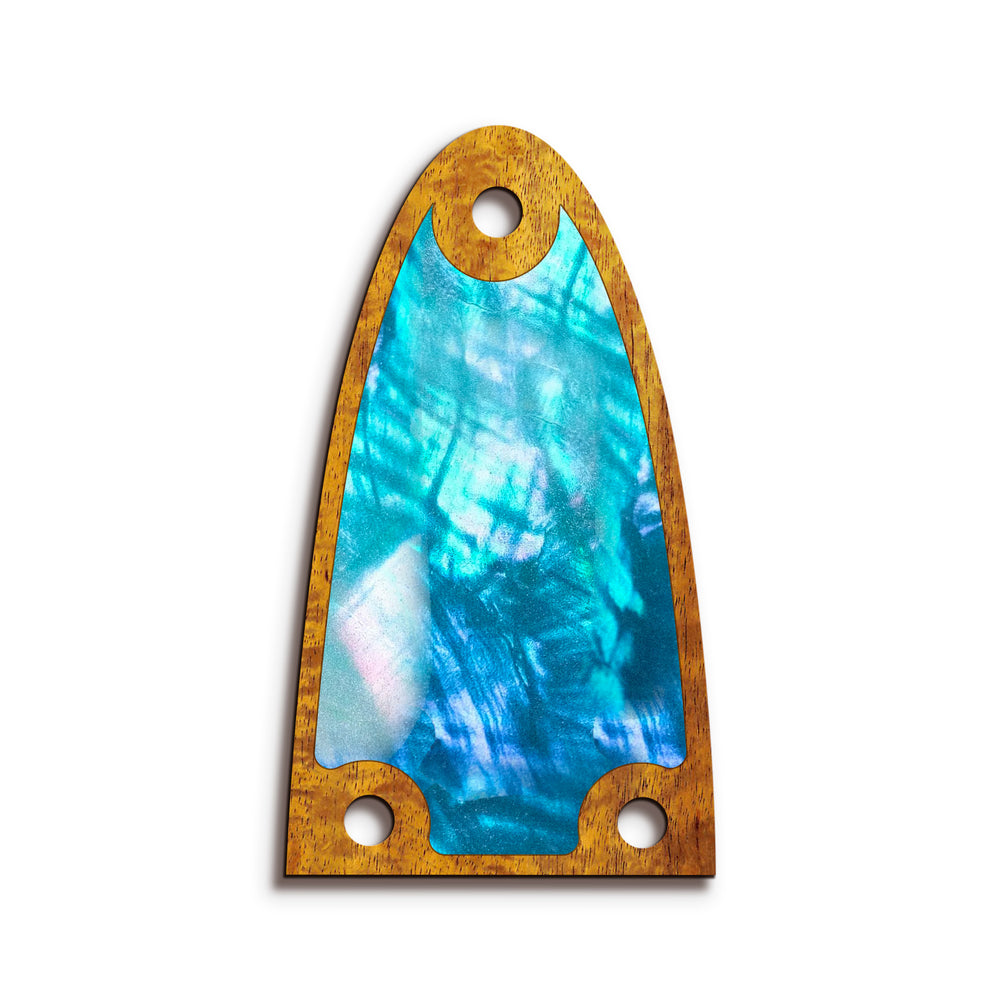 Alvarez TR26 | Truss Rod Covers