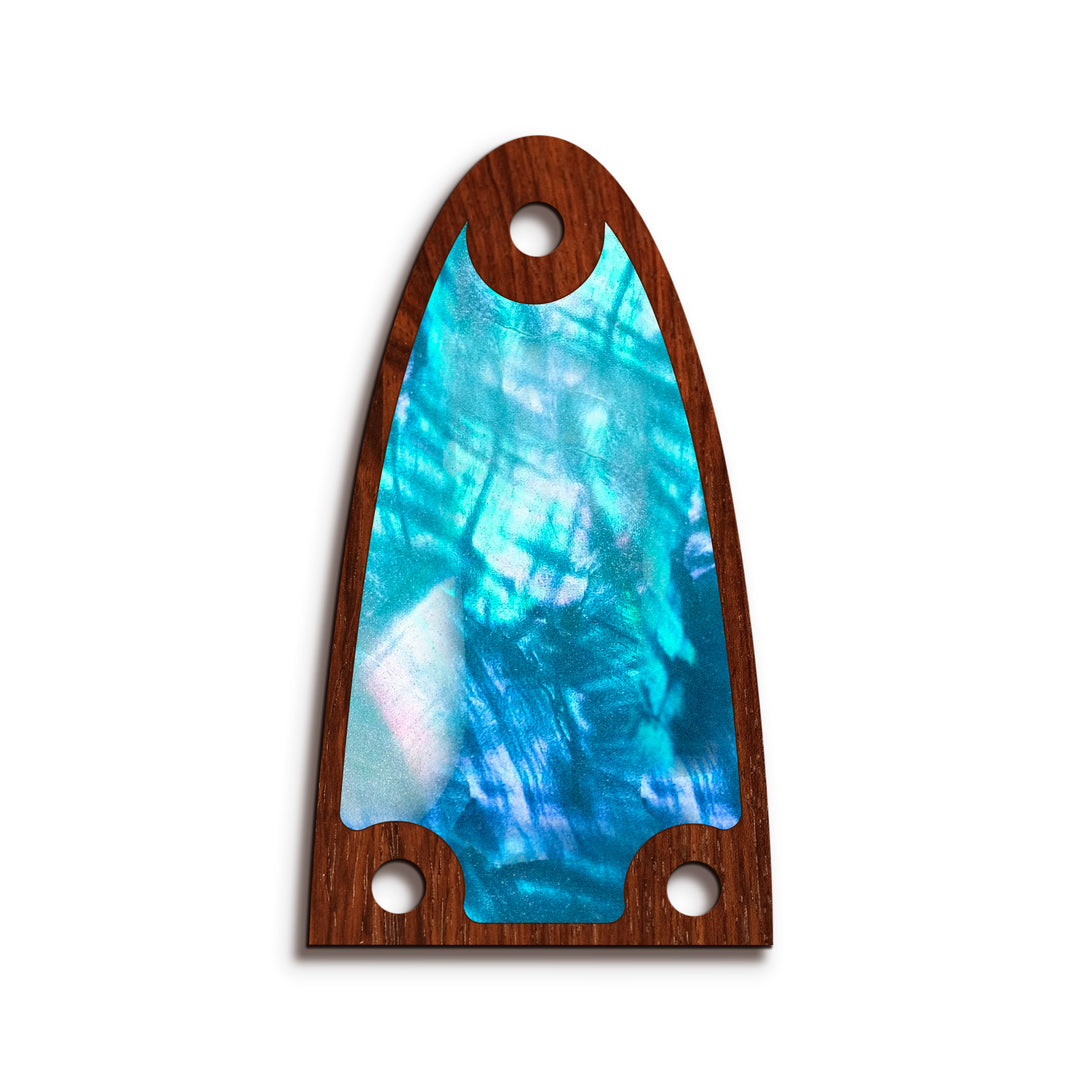 Alvarez TR26 | Truss Rod Covers