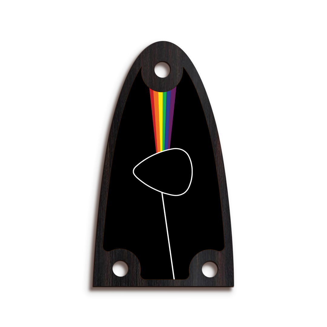 Alvarez TR26 | Truss Rod Covers