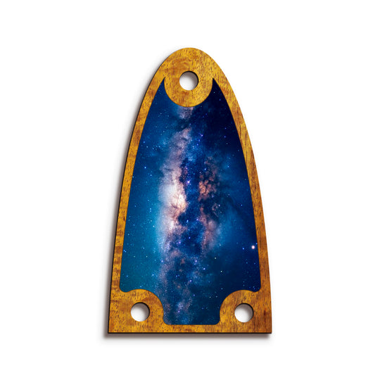 Alvarez TR26 | Truss Rod Covers