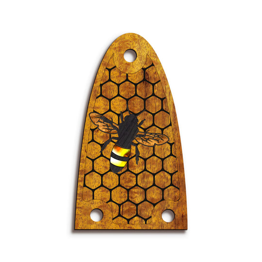 Alvarez TR26 | Truss Rod Covers