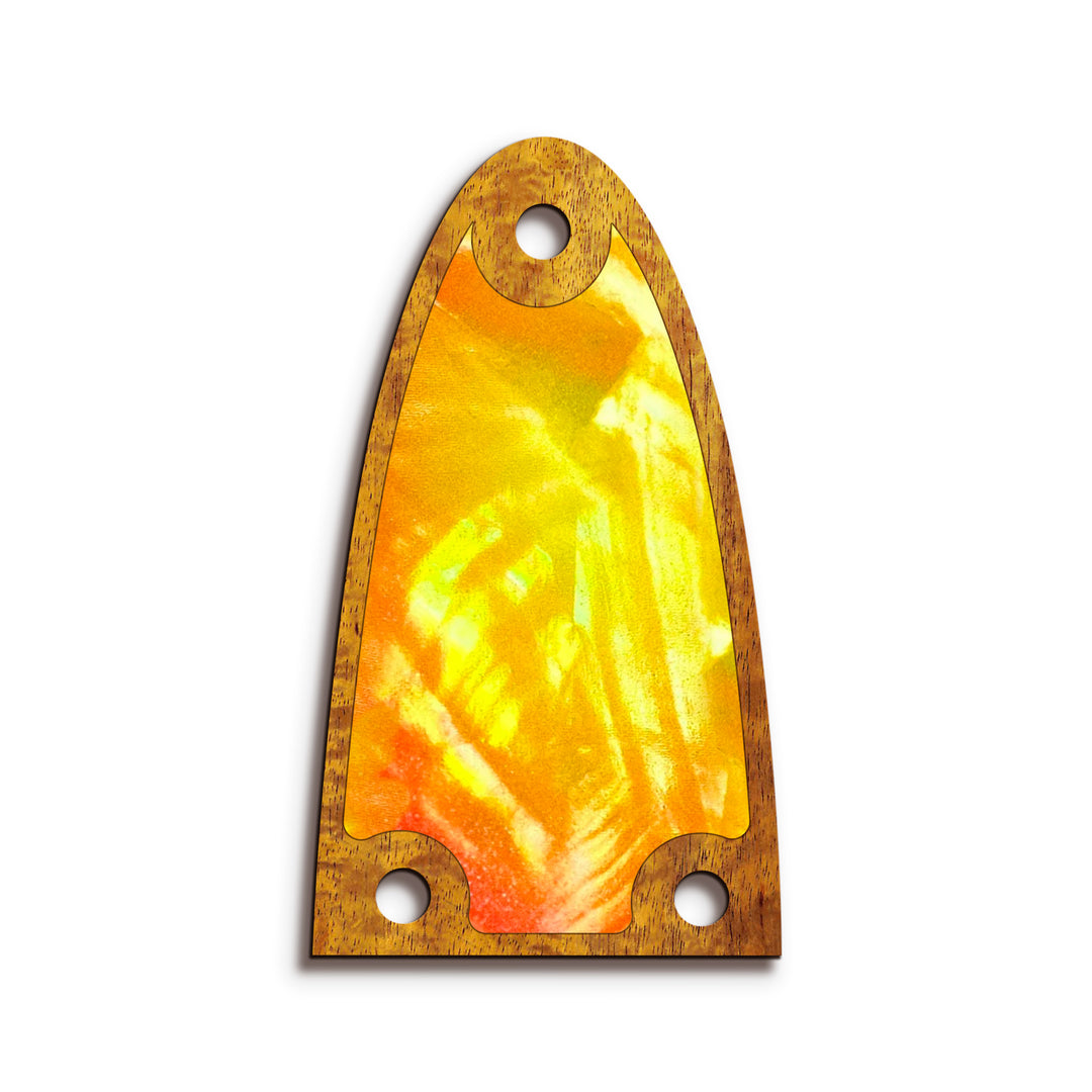 Alvarez TR26 | Truss Rod Covers