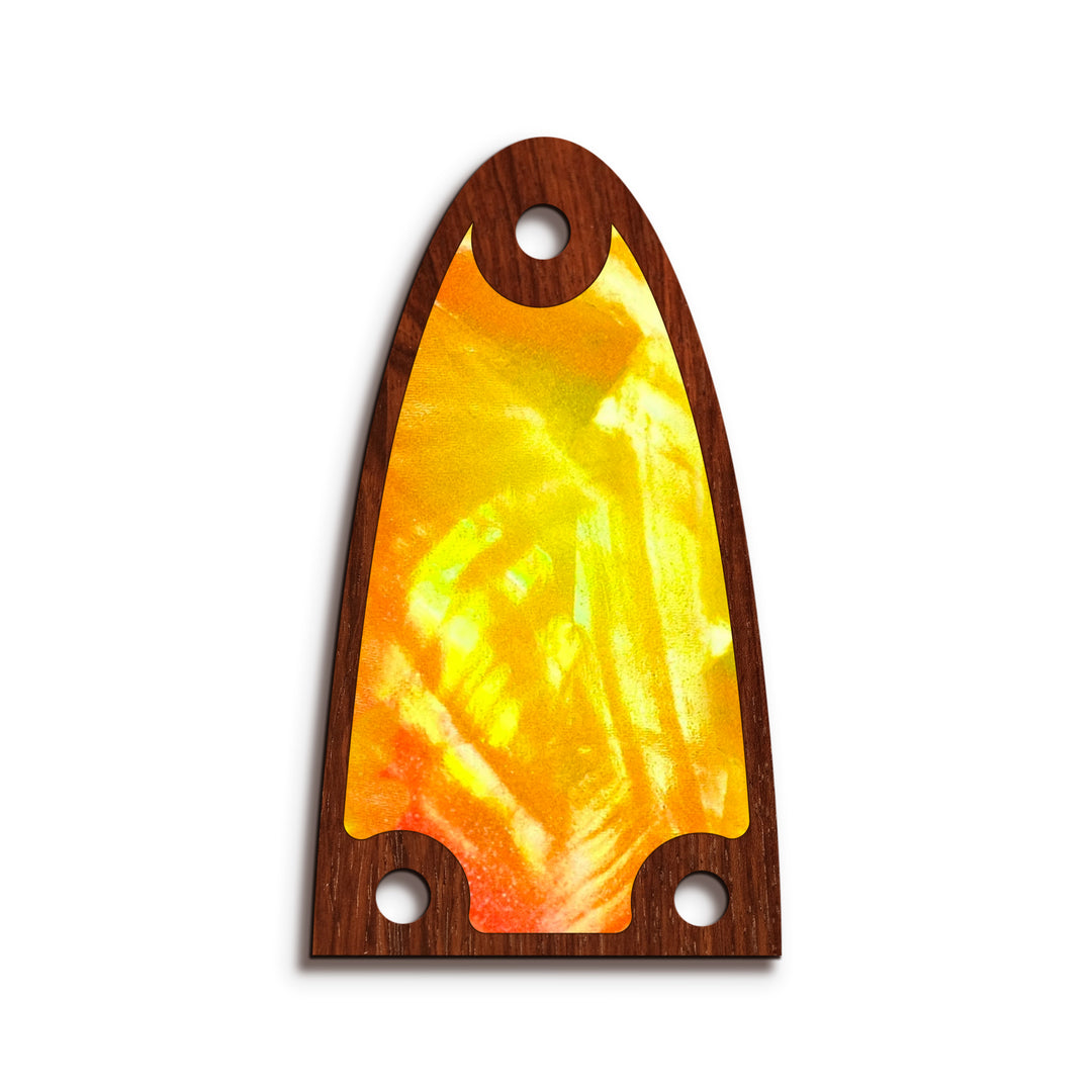 Alvarez TR26 | Truss Rod Covers