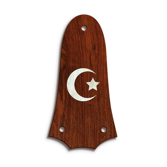 Taylor TR3 | Truss Rod Covers