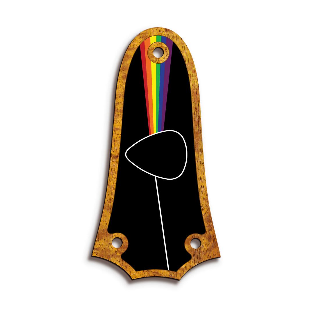 Taylor TR3 | Truss Rod Covers