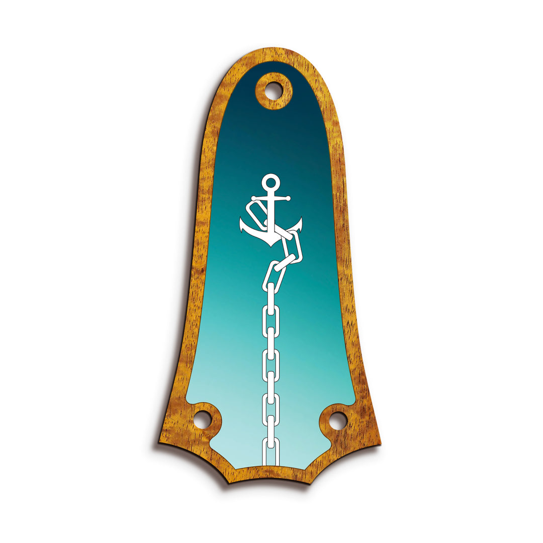 Taylor TR3 | Truss Rod Covers
