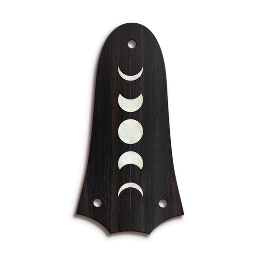Taylor TR3 | Truss Rod Covers