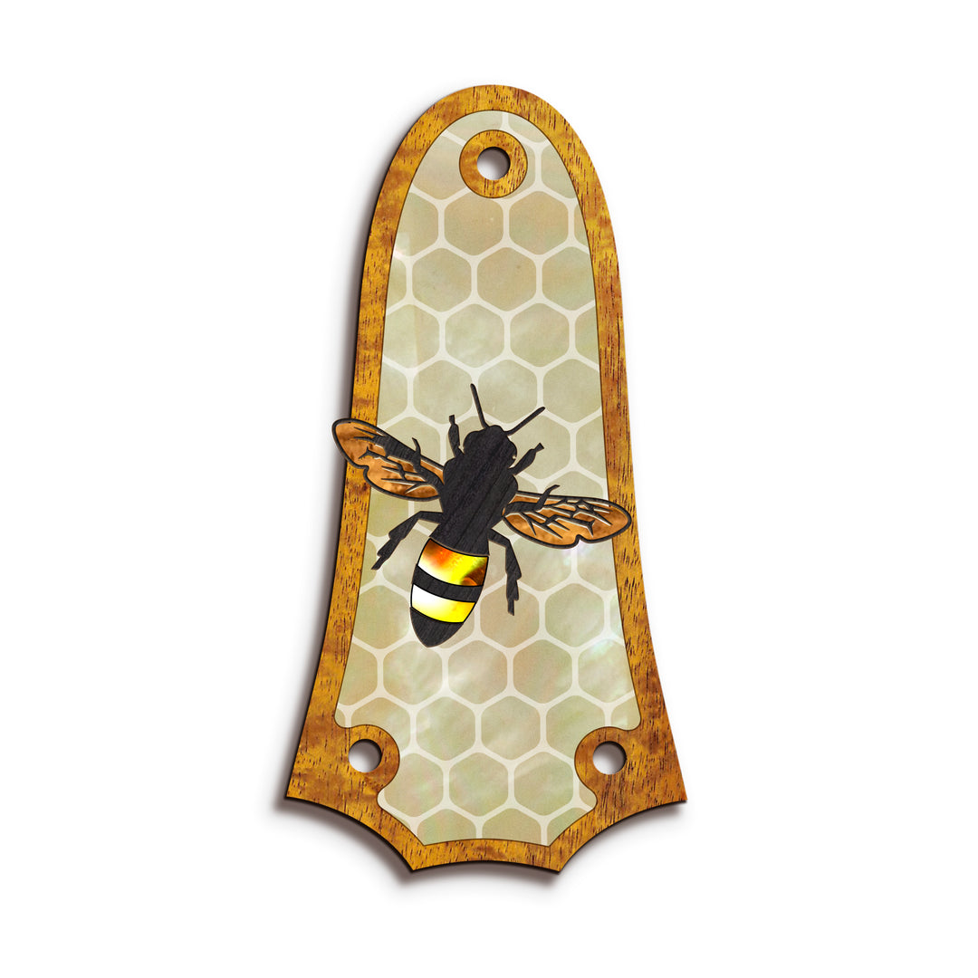 Taylor TR3 | Truss Rod Covers