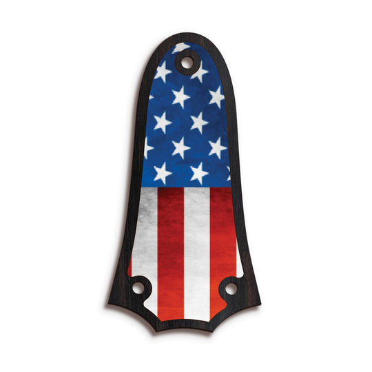 Taylor TR3 | Truss Rod Covers