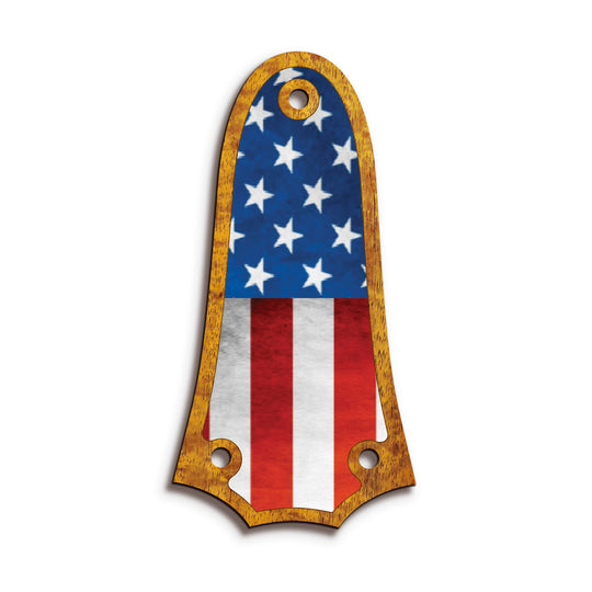 Taylor TR3 | Truss Rod Covers