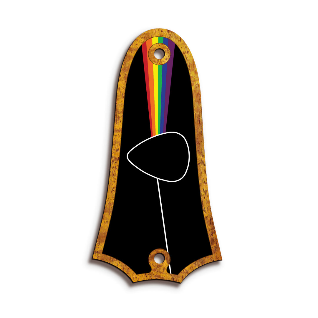 Taylor TR4 | Truss Rod Covers