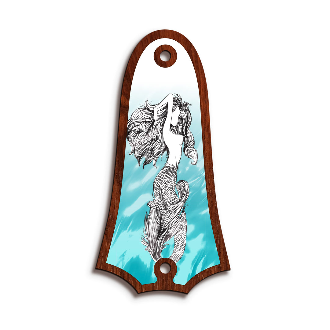 Taylor TR4 | Truss Rod Covers