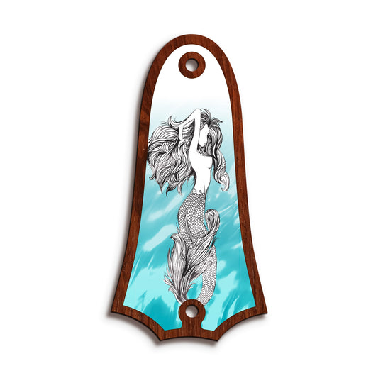 Taylor TR4 | Truss Rod Covers