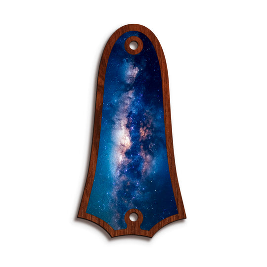 Taylor TR4 | Truss Rod Covers