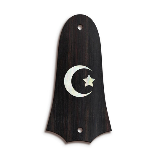 Taylor TR4 | Truss Rod Covers
