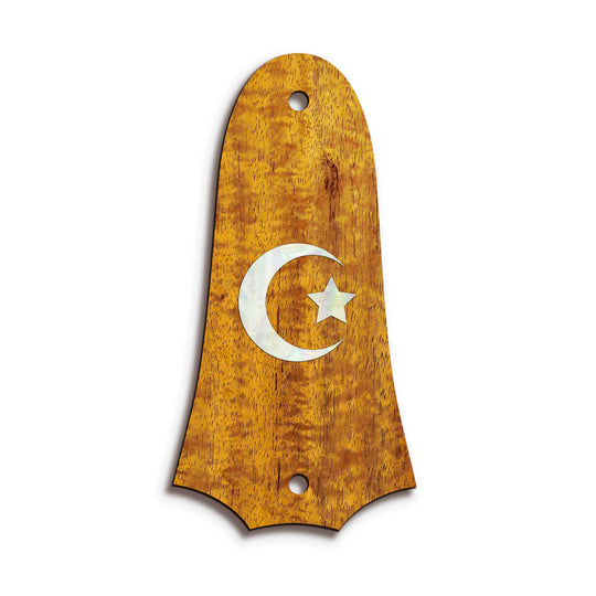 Taylor TR4 | Truss Rod Covers