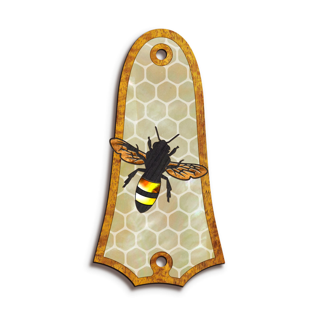 Taylor TR4 | Truss Rod Covers