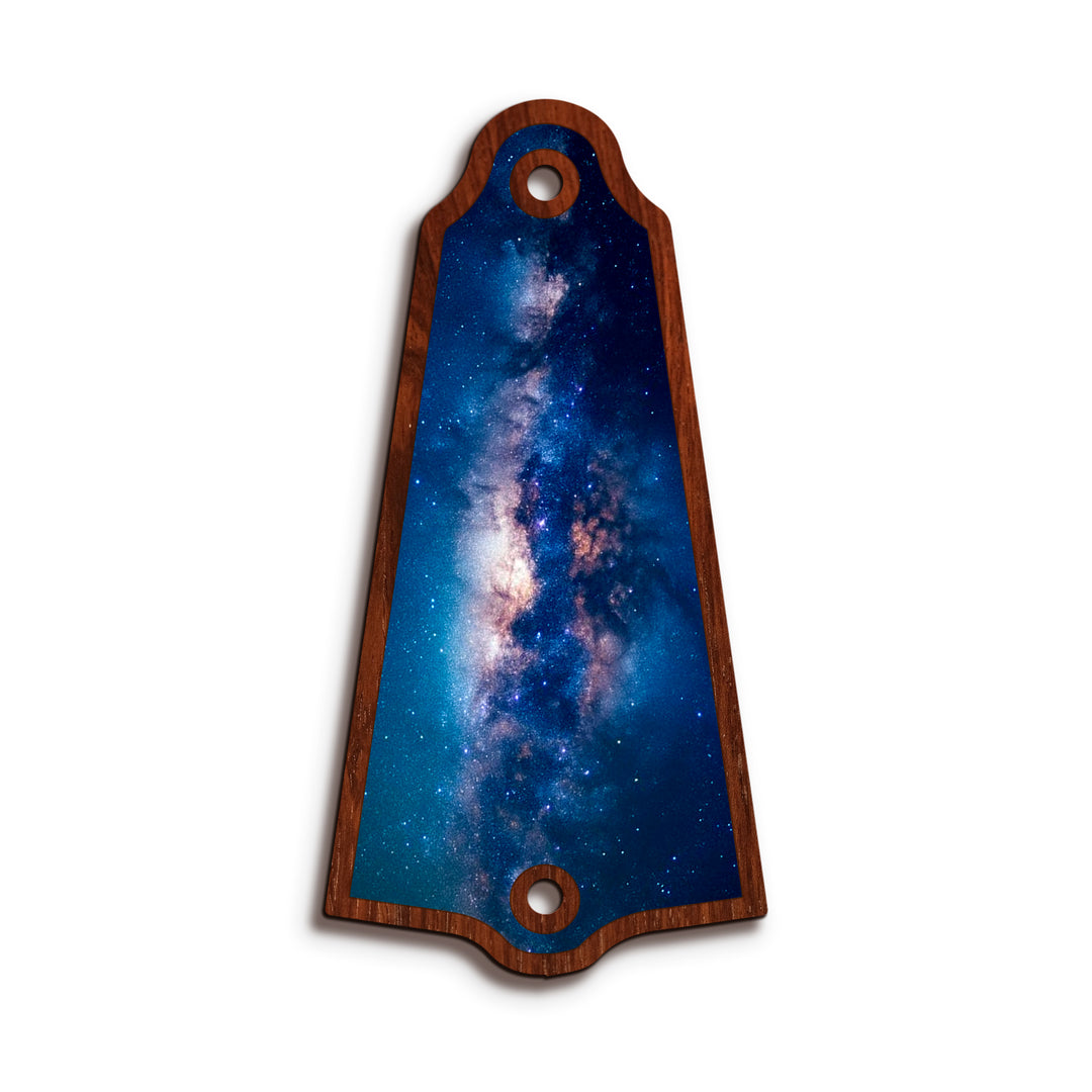 Gibson TR5 | Truss Rod Covers
