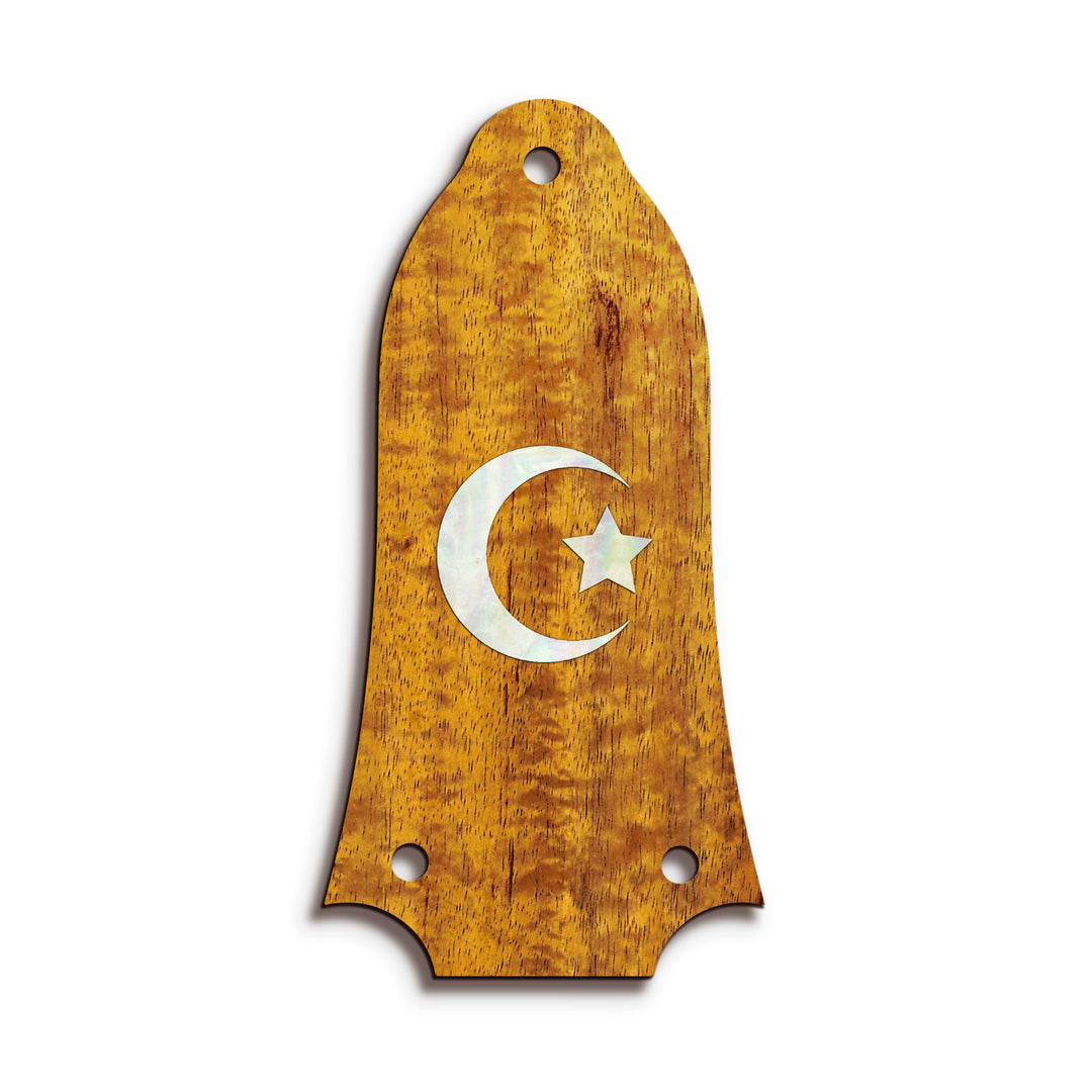Epiphone TR6 | Truss Rod Covers