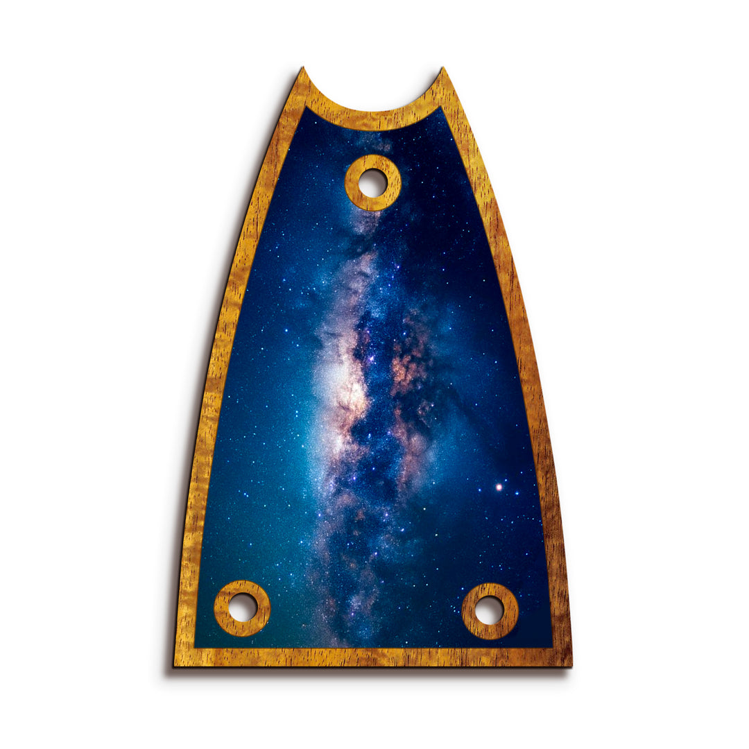 Epiphone TR7 | Truss Rod Covers
