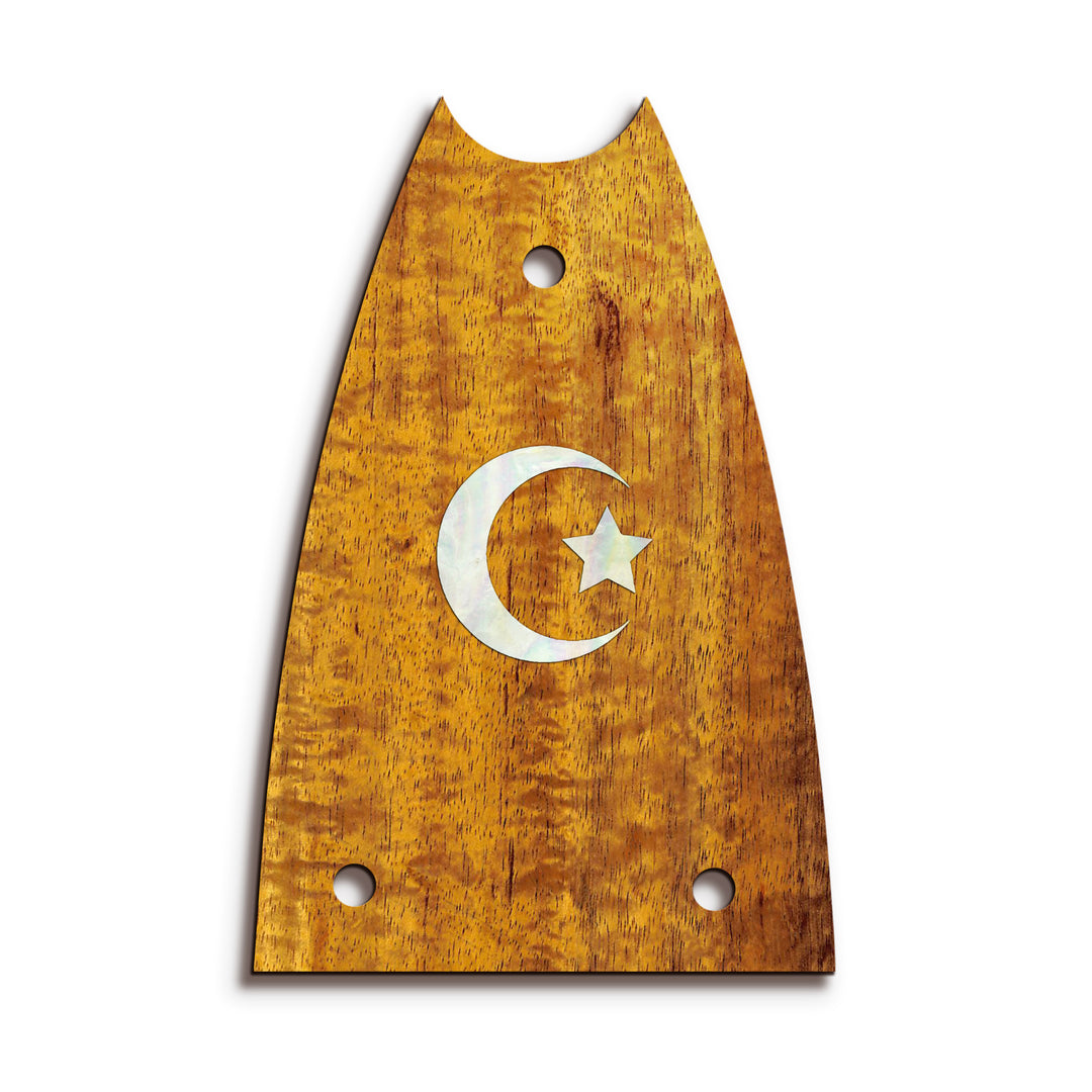 Epiphone TR7 | Truss Rod Covers