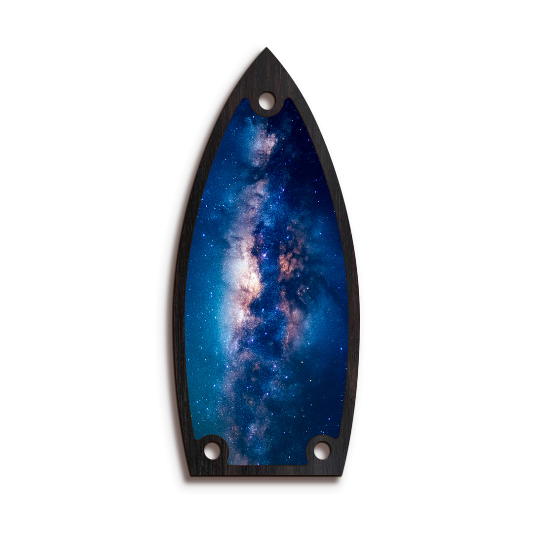 Gretsch TR9 | Truss Rod Covers