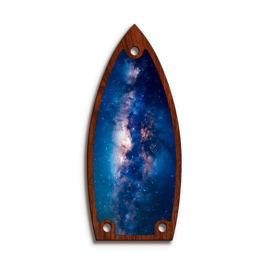 Gretsch TR9 | Truss Rod Covers